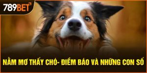 nằm mơ thấy chó