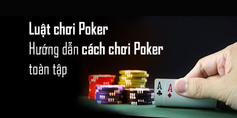 Khám phá cách chơi Poker cho người mới cơ bản nhất